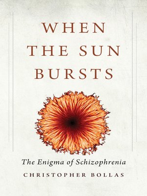 cover image of When the Sun Bursts